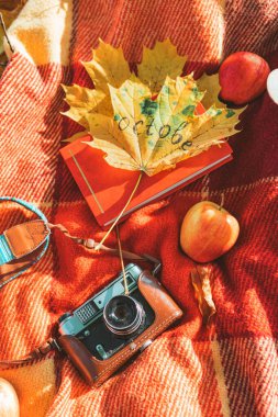 Sonbahar parkında üzerinde kitap ve eski bir retro kamera olan battaniye. Boşluğu kopyala
