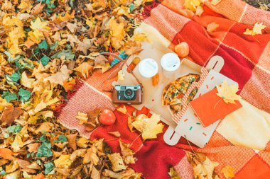 Battaniyenin üzerinde farklı şeyler var. Eski moda, elma kaplı pizza. kopyalama alanı. en üstteki görünüm