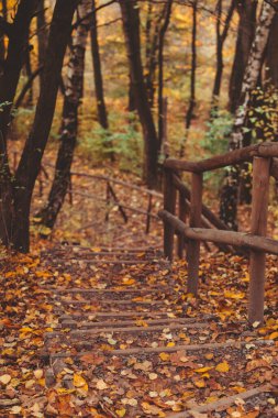 Sonbahar parkındaki merdivenler sonbahar sezonu