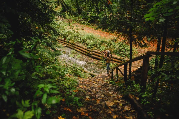 Zâmbitor Excursionist Femeie Mers Jos Toamna Pădure Drum Copia Spațiu — Fotografie, imagine de stoc
