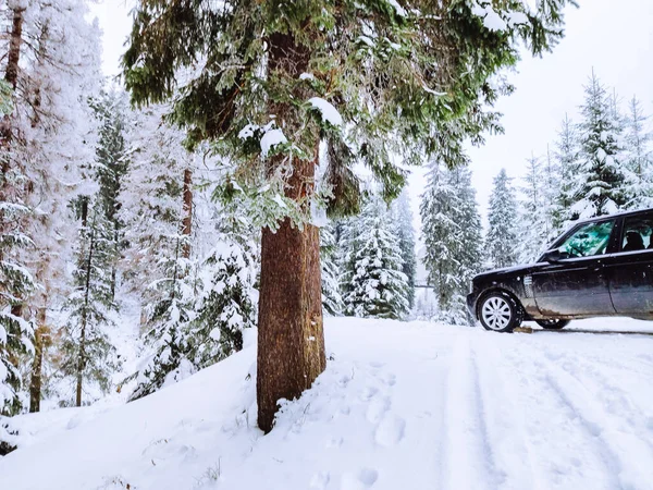 Suv Αυτοκίνητο Στο Χιονισμένο Δάσος Αντίγραφο Χώρο — Φωτογραφία Αρχείου