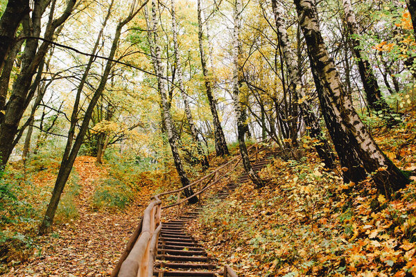 лестницы осеннего парка