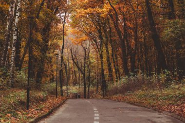 İnsanlar sonbahar kenti parkında yürüyorlar sonbahar sezonu kopyalama alanı
