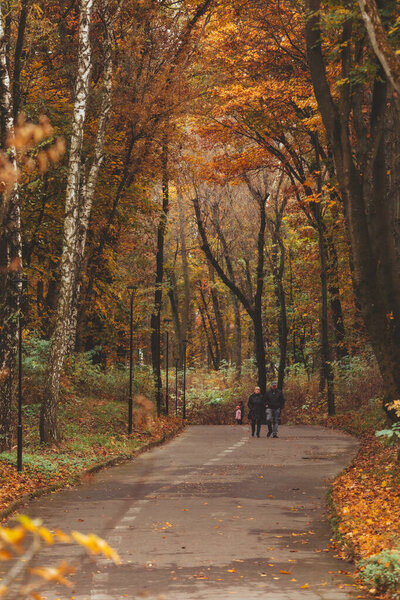 Lviv, Ukraine - November 2, 2020: people walking outdoors by autumn city park fall season copy space