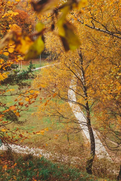 Droga Jesiennym Mieście Park Publiczny Przestrzeń Kopia — Zdjęcie stockowe