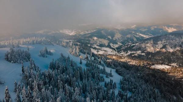 Vue Aérienne Des Montagnes Des Carpates Ukrainiennes Enneigées Copier Espace — Photo