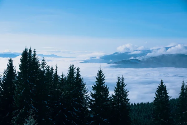 Landscape View Winter Ukraine Carpathian Mountains Bukovel — Foto Stock