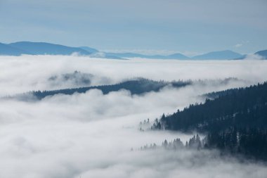 Kış manzarası Ukrayna Karpatlar bukovel
