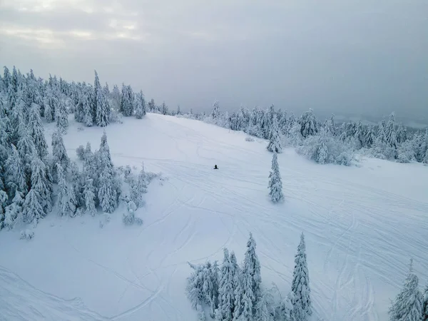 Εναέρια Άποψη Του Snowboarder Ελεύθερη Αναβάτη Στην Πλαγιά Σκι Χειμώνα — Φωτογραφία Αρχείου