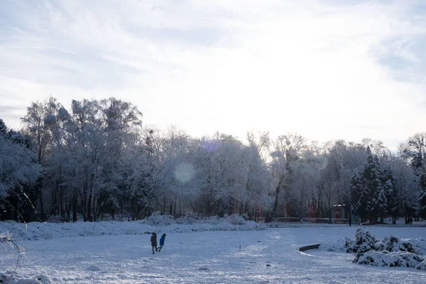 Parque Público Inverno Coberto Por Espaço Cópia Neve — Fotografia de Stock