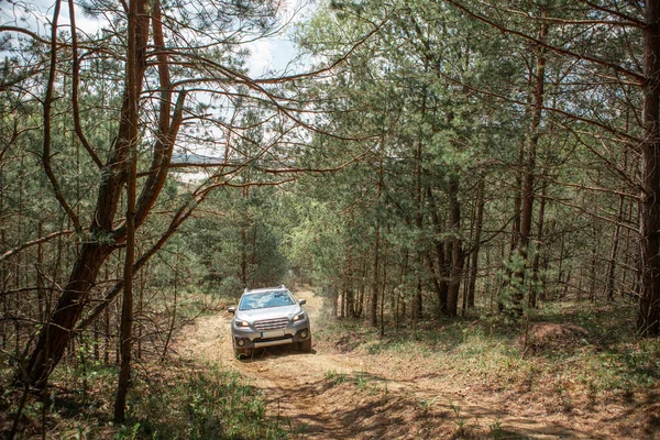 Radyasyon Dışı Konsept Orman Yolunda Kirli Cip Arabaları Boşluğu Kopyala — Stok fotoğraf