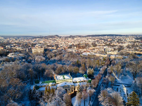 Vista Aérea Ciudad Invierno Lviv Copia Espacio — Foto de Stock