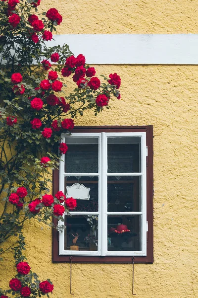 Altes Fenster Haus Mit Gelben Wänden Klettern Rote Rosen Dekoration — Stockfoto