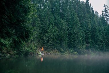 Sarı yağmurluklu bir adam dağ gezgini konseptine bakıyor.