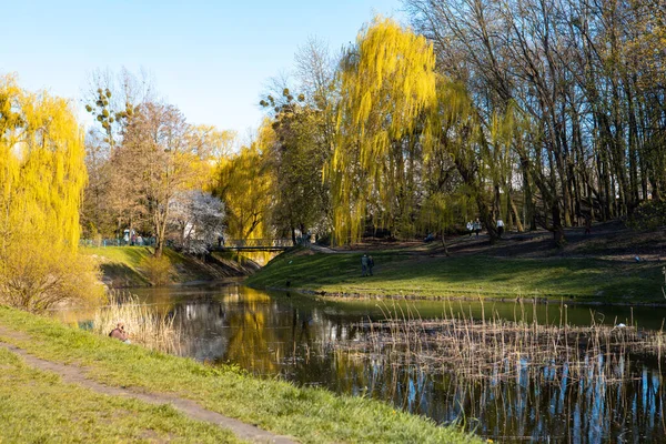 Parque Público Ciudad Con Espacio Copia Día Soleado Primavera Lago — Foto de Stock