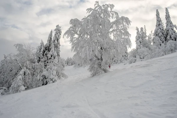 Χειμώνας Ουκρανικά Καρπάθια Βουνά Τοπίο Άποψη Αντίγραφο Χώρου — Φωτογραφία Αρχείου
