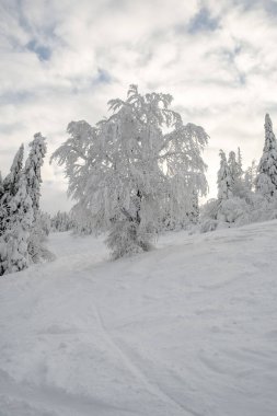kış Ukrayna Karpatlar manzara fotokopi alanı