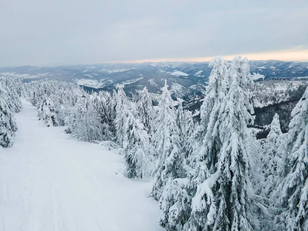 Paysage Aérien Vue Des Montagnes Ukraine Carpates Hiver Temps Copie — Photo