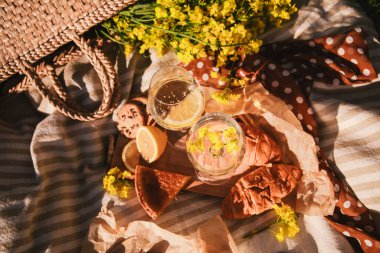 Piknik konsepti şarap kadehleri açık havada battaniyeli yaz zamanı