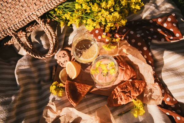 Piknik konsepti şarap kadehleri açık havada battaniyeli yaz zamanı