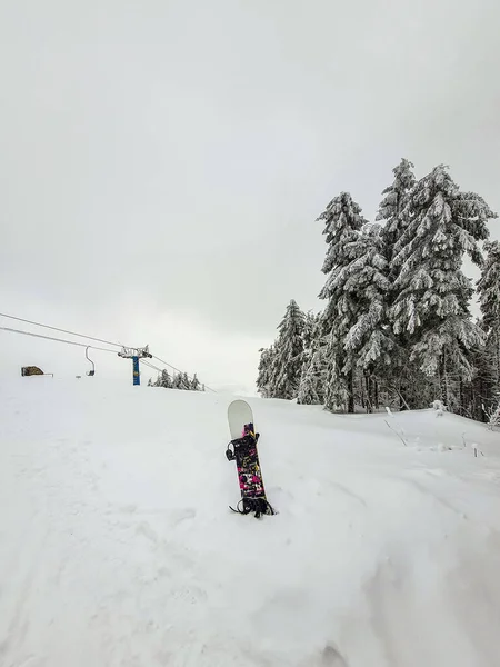 Snowboard Vyčnívá Lyžařského Střediska — Stock fotografie