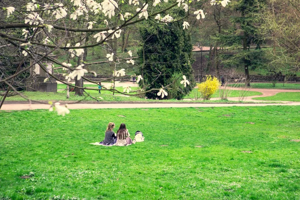 Pareja Descansando Parque Hierba Verde Primavera Floreciendo Espacio Público Copia — Foto de Stock