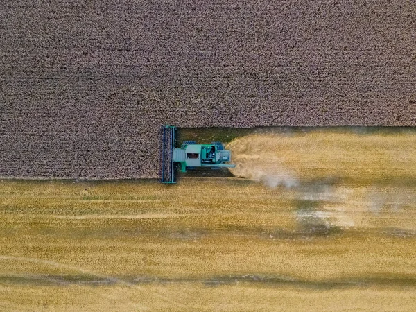 Visão Aérea Época Colheita Trator Campo Agrícola — Fotografia de Stock