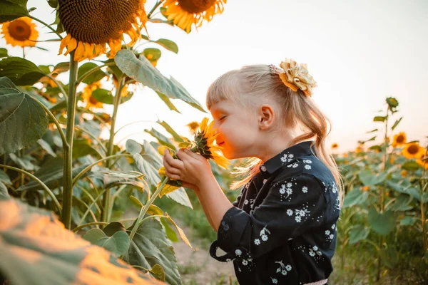 Kleines Süßes Jähriges Mädchen Sonnenblumenfeld Bei Sonnenuntergang Porträt — Stockfoto