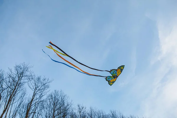 蝴蝶风筝在空中复制空间 — 图库照片