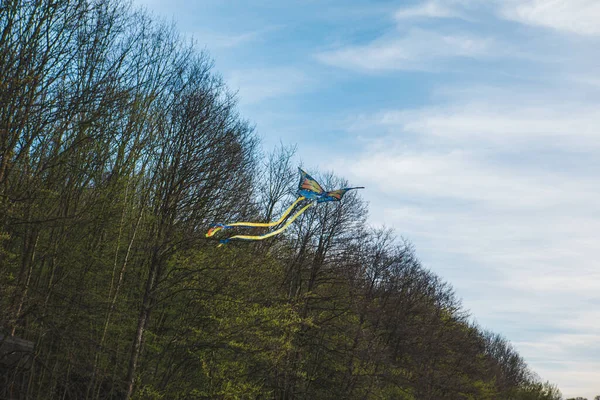 Fjäril Drake Himlen Kopiera Utrymme — Stockfoto