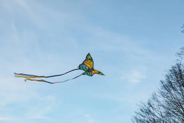 Cerf Volant Papillon Dans Espace Copie Ciel — Photo