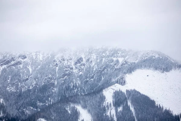 Landschap Panoramisch Uitzicht Besneeuwde Winter Tatra Bergen Slowakije — Stockfoto