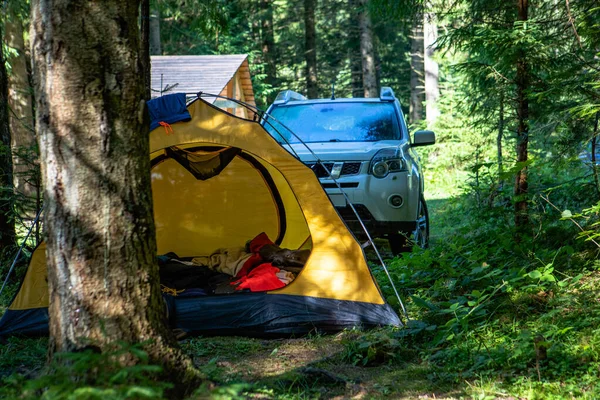 Tenda amarela com carro suv na floresta — Fotografia de Stock