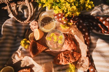 Piknik konsepti şarap kadehleri açık havada battaniyeli yaz zamanı