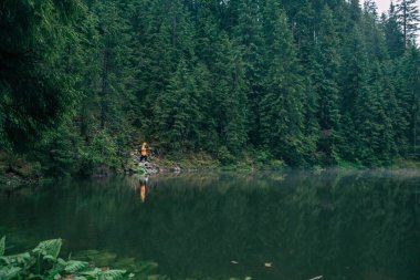 Lake Beach dağları ormanında sarı yağmurluklu bir kadın yürüyüşçü.