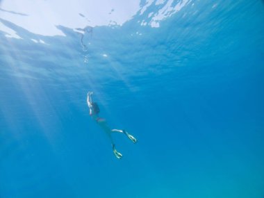 Yüzgeçli ve dalgıç maskeli bir kadın suyun altında yüzüyor.