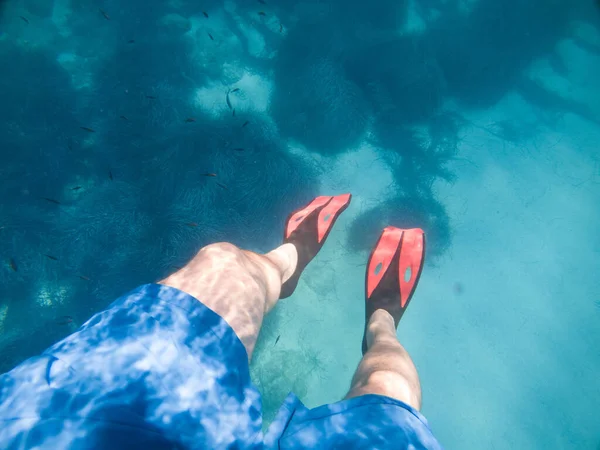 Homens Pernas Nadadeiras Fundo Mar Subaquático — Fotografia de Stock