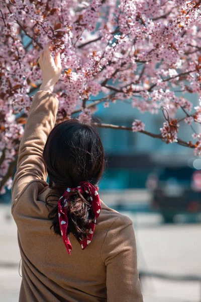 Vrouw Het Nemen Van Foto Bloeiende Sakura Boom Lente Komt — Stockfoto
