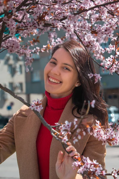 Жінка Фотографує Квітучу Весну Дереві Сакури — стокове фото
