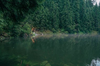 Lake Beach dağları ormanında sarı yağmurluklu bir kadın yürüyüşçü.
