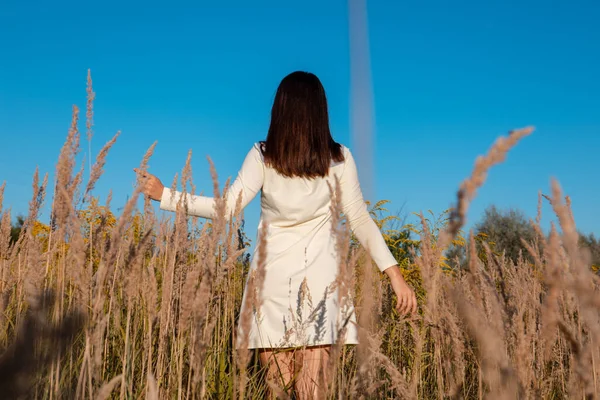 Красива Жінка Позує Пшеничному Полі — стокове фото