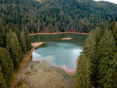 Ukrayna 'daki sonbahar Karpatlar Gölü' nün havadan görünüşü uzayı taklit ediyor.