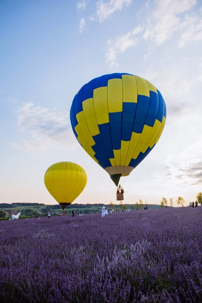 Balão Com Cesta Acima Espaço Cópia Campo Lavanda — Fotografia de Stock