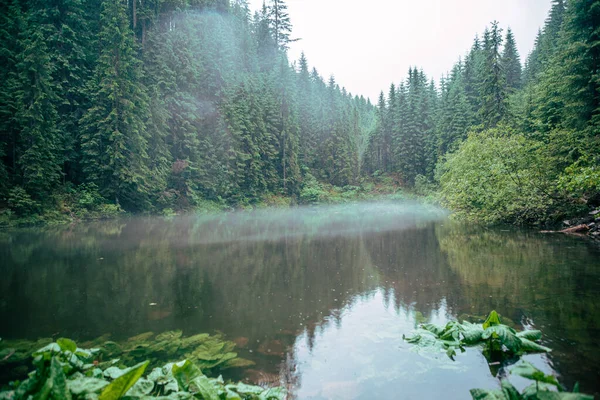 喀尔巴阡山脉湖上的薄雾天气再现了空间景观 — 图库照片