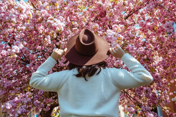 Vrouw Van Achteren Kijkend Naar Bloeiende Sakura Boom Lente Komt — Stockfoto