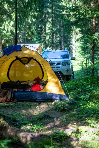 Gele Tent Met Suv Auto Het Bos Zomer — Stockfoto