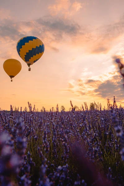 Luftballong Med Korg Ovanför Lavendel Fält Kopiera Utrymme — Stockfoto
