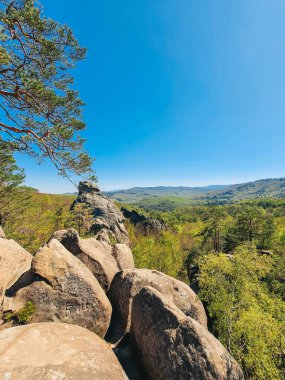 Yaz güneşli bir günde Ukrayna 'yı sarsıyor.