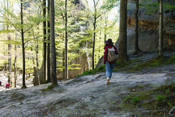 Mulher Caminhante Com Mochila Andando Pelo Espaço Cópia Trilha Floresta — Fotografia de Stock