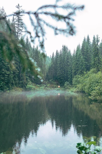 喀尔巴阡山脉湖上的薄雾天气再现了空间景观 — 图库照片